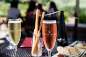 罗马客场不敌博洛尼亚，失去领先优势