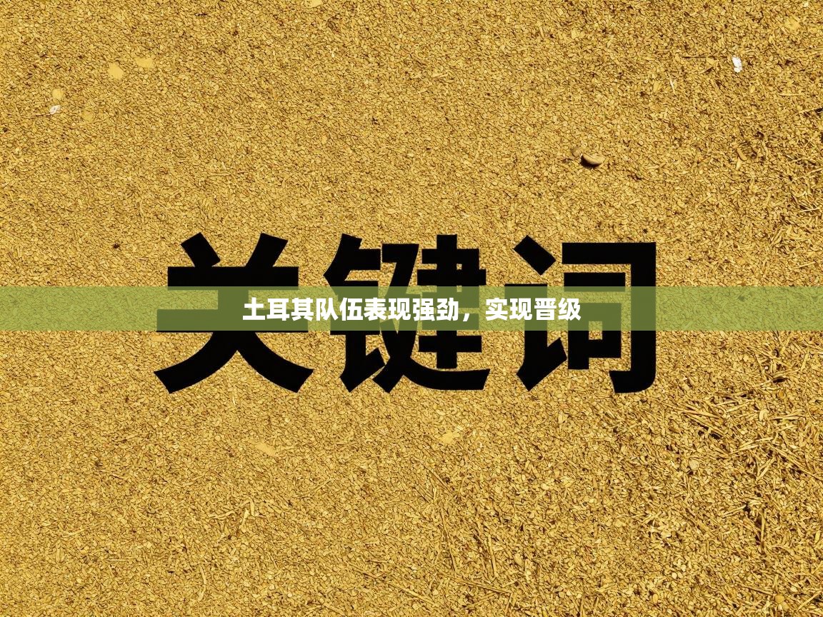 土耳其队伍表现强劲,实现晋级 第1张