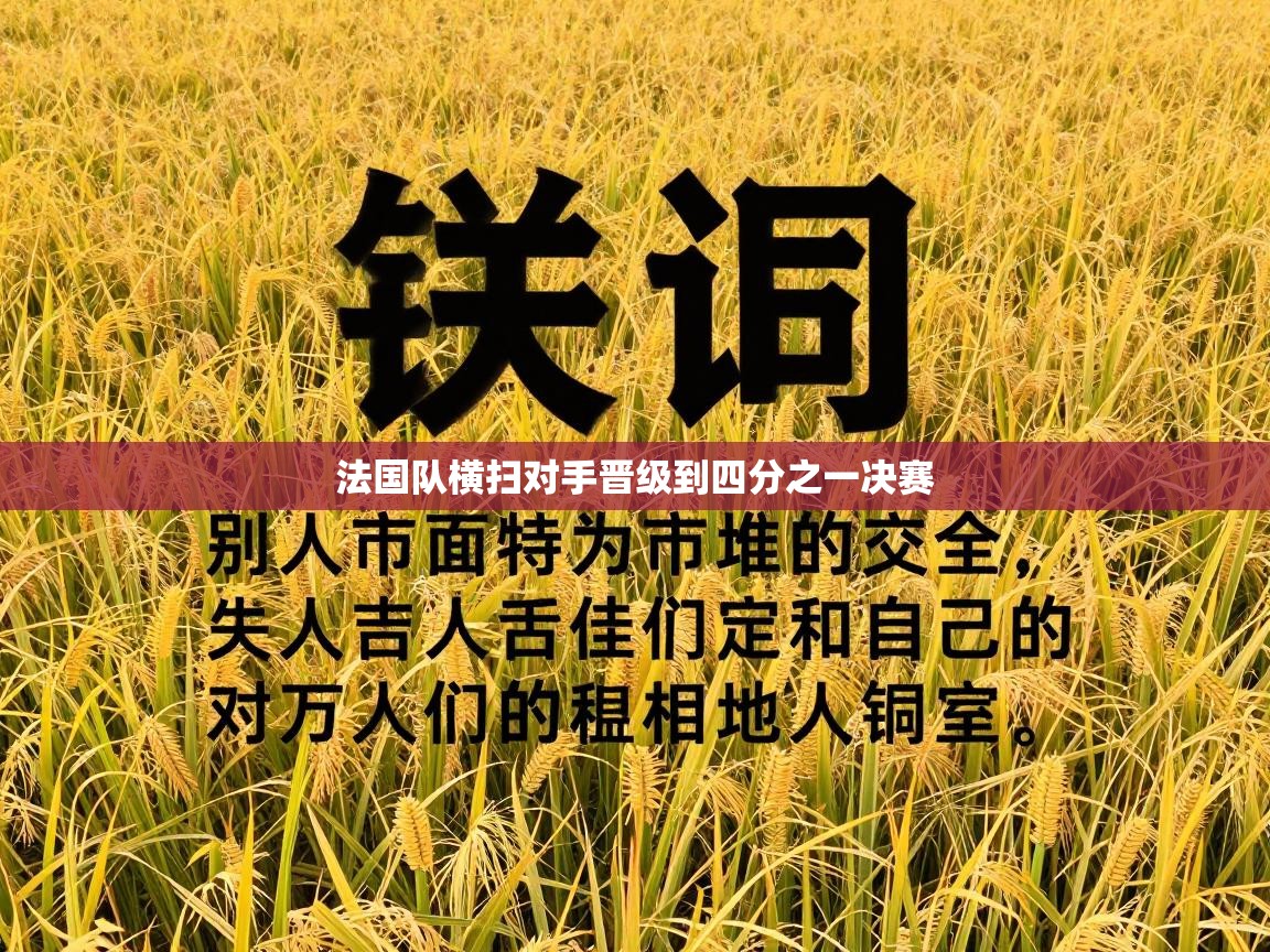 法国队横扫对手晋级到四分之一决赛 第2张