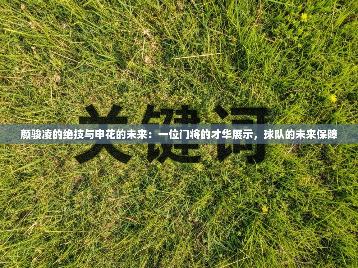 颜骏凌的绝技与申花的未来：一位门将的才华展示，球队的未来保障